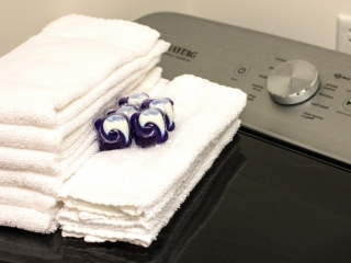 ornl guest house washing
